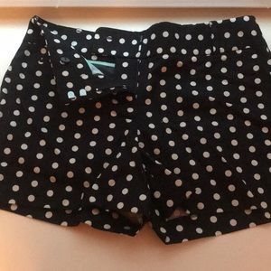 Polka-Dot LOFT Cotton Shorts